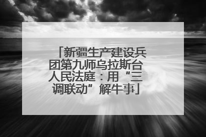 新疆生产建设兵团第九师乌拉斯台人民法庭：用“三调联动”解牛事