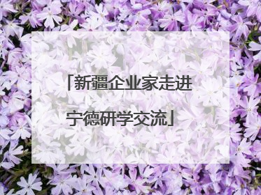 新疆企业家走进宁德研学交流