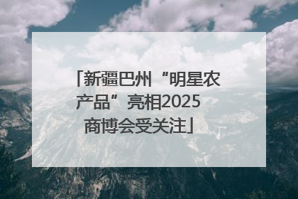 新疆巴州“明星农产品”亮相2025商博会受关注