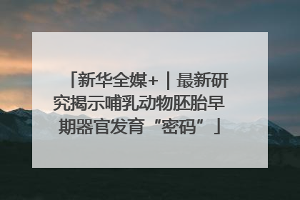 新华全媒+｜最新研究揭示哺乳动物胚胎早期器官发育“密码”