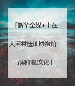 新华全媒+丨在大河村遗址博物馆寻溯仰韶文化