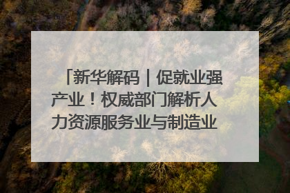 新华解码｜促就业强产业！权威部门解析人力资源服务业与制造业融合发展试点