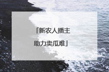 新农人播主 助力卖瓜难