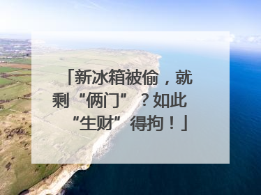 新冰箱被偷，就剩“俩门”？如此“生财”得拘！