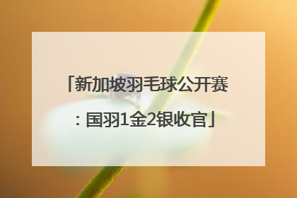 新加坡羽毛球公开赛：国羽1金2银收官