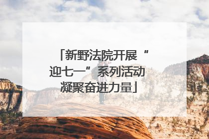新野法院开展“迎七一”系列活动 凝聚奋进力量