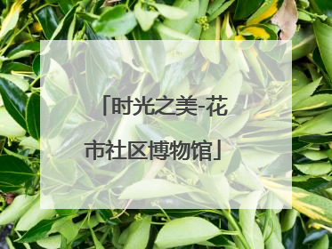 时光之美-花市社区博物馆