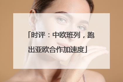 时评：中欧班列，跑出亚欧合作加速度