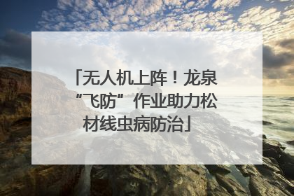 无人机上阵！龙泉“飞防”作业助力松材线虫病防治