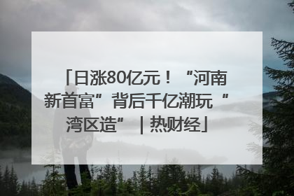 日涨80亿元！“河南新首富”背后千亿潮玩“湾区造”｜热财经
