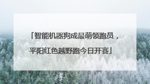 智能机器狗成最萌领跑员，平阳红色越野跑今日开赛