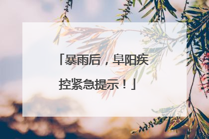 暴雨后，阜阳疾控紧急提示！