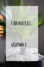 暴雨过后访西峡