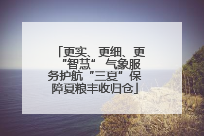 更实、更细、更“智慧” 气象服务护航“三夏”保障夏粮丰收归仓