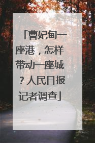 曹妃甸一座港，怎样带动一座城？人民日报记者调查