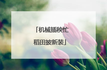 机械插秧忙 稻田披新装