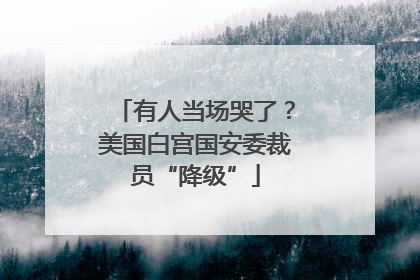 有人当场哭了？美国白宫国安委裁员“降级”