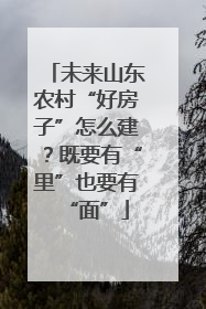 未来山东农村“好房子”怎么建？既要有“里”也要有“面”