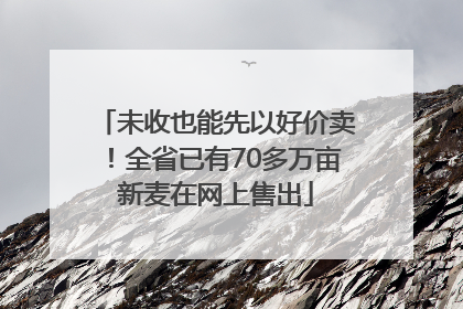 未收也能先以好价卖！全省已有70多万亩新麦在网上售出