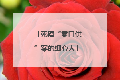 死磕“零口供”案的细心人