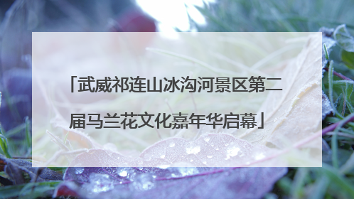 武威祁连山冰沟河景区第二届马兰花文化嘉年华启幕