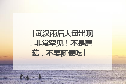 武汉雨后大量出现，非常罕见！不是蘑菇，不要随便吃