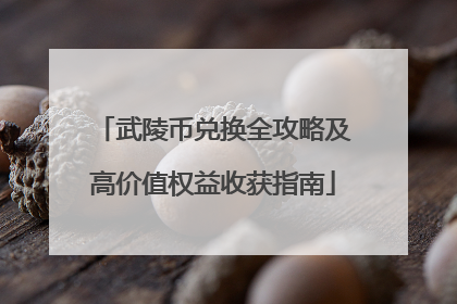 武陵币兑换全攻略及高价值权益收获指南