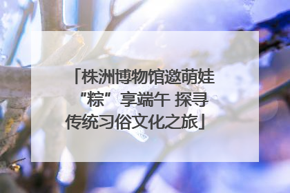 株洲博物馆邀萌娃“粽”享端午 探寻传统习俗文化之旅