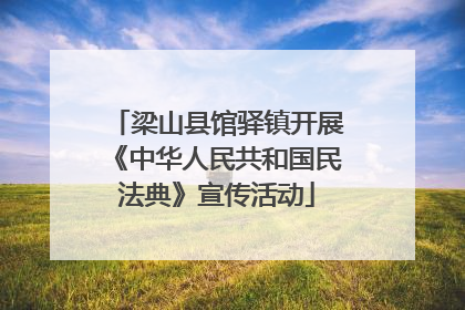 梁山县馆驿镇开展《中华人民共和国民法典》宣传活动
