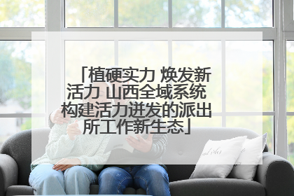 植硬实力 焕发新活力 山西全域系统构建活力迸发的派出所工作新生态