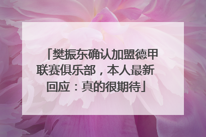 樊振东确认加盟德甲联赛俱乐部，本人最新回应：真的很期待