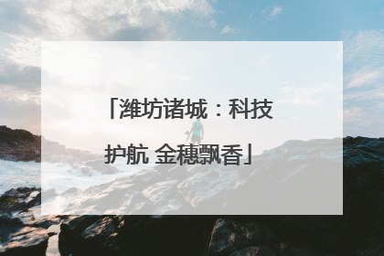 潍坊诸城：科技护航 金穗飘香