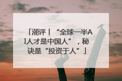 潮评丨“全球一半AI人才是中国人”，秘诀是“投资于人”