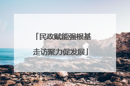 民政赋能强根基 走访聚力促发展