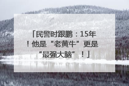 民警时跟鹏：15年！他是“老黄牛”更是“最强大脑”！