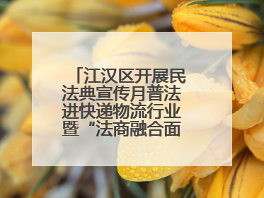江汉区开展民法典宣传月普法进快递物流行业暨“法商融合面对面”活动