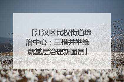 江汉区民权街道综治中心：三措并举绘就基层治理新图景