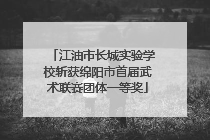 江油市长城实验学校斩获绵阳市首届武术联赛团体一等奖