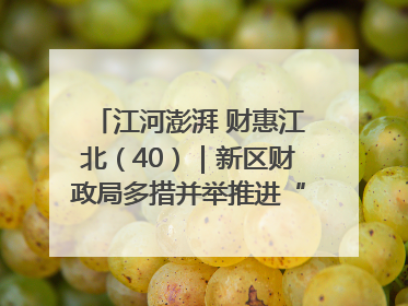 江河澎湃 财惠江北（40）｜新区财政局多措并举推进“一卡通”管理 保障惠民惠农补贴精准高效发放