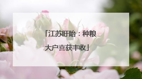 江苏盱眙：种粮大户喜获丰收