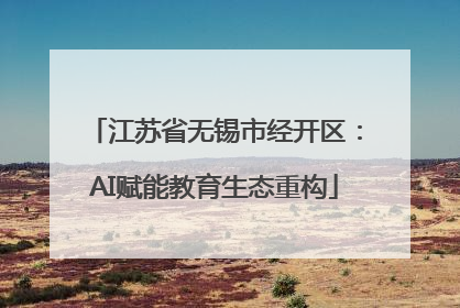 江苏省无锡市经开区：AI赋能教育生态重构