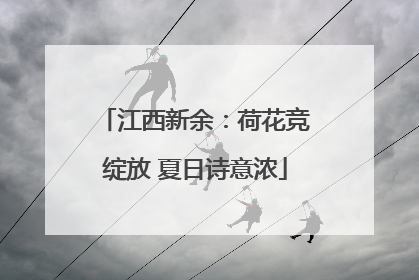 江西新余：荷花竞绽放 夏日诗意浓