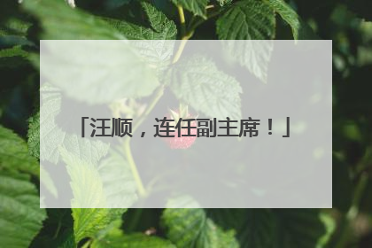汪顺，连任副主席！