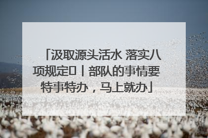 汲取源头活水 落实八项规定⑪丨部队的事情要特事特办，马上就办