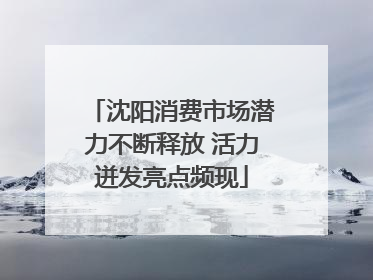 沈阳消费市场潜力不断释放 活力迸发亮点频现