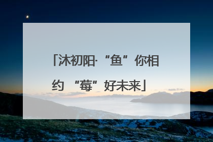 沐初阳·“鱼”你相约 “莓”好未来
