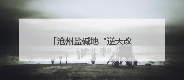 沧州盐碱地“逆天改命”：无用之地变良田，候鸟翔集水草丰美