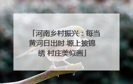 河南乡村振兴：每当黄河日出时 塬上披锦绣 村庄美似画