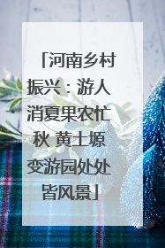 河南乡村振兴：游人消夏果农忙秋 黄土塬变游园处处皆风景