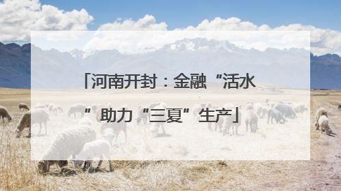 河南开封：金融“活水”助力“三夏”生产